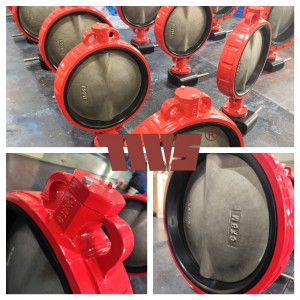 12.9 DN450 DI Wafer Butterfly Valve mei CF8M Disc en EPDM Seat --- TWS Valve