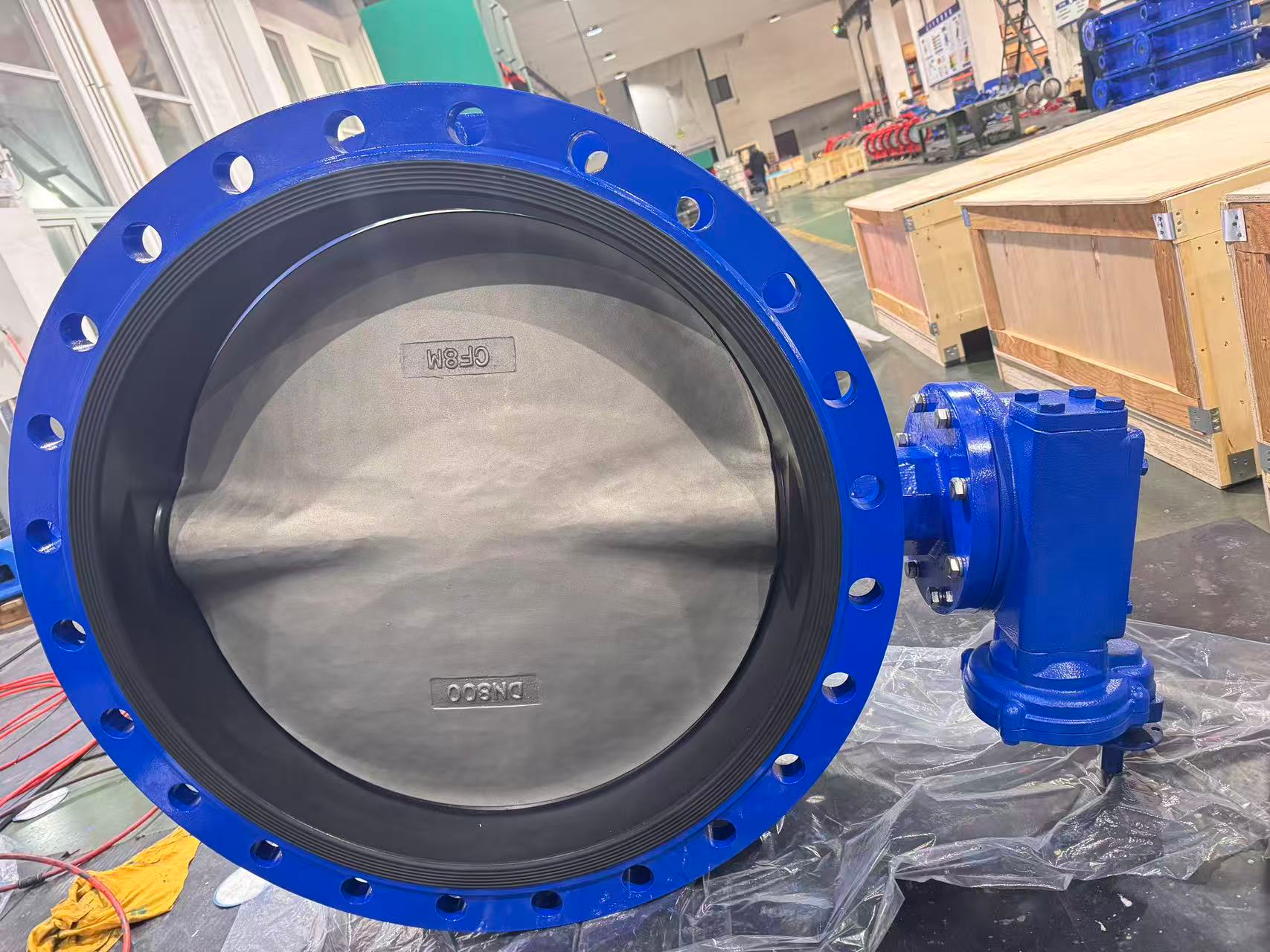 Austenitic stainless steel plate