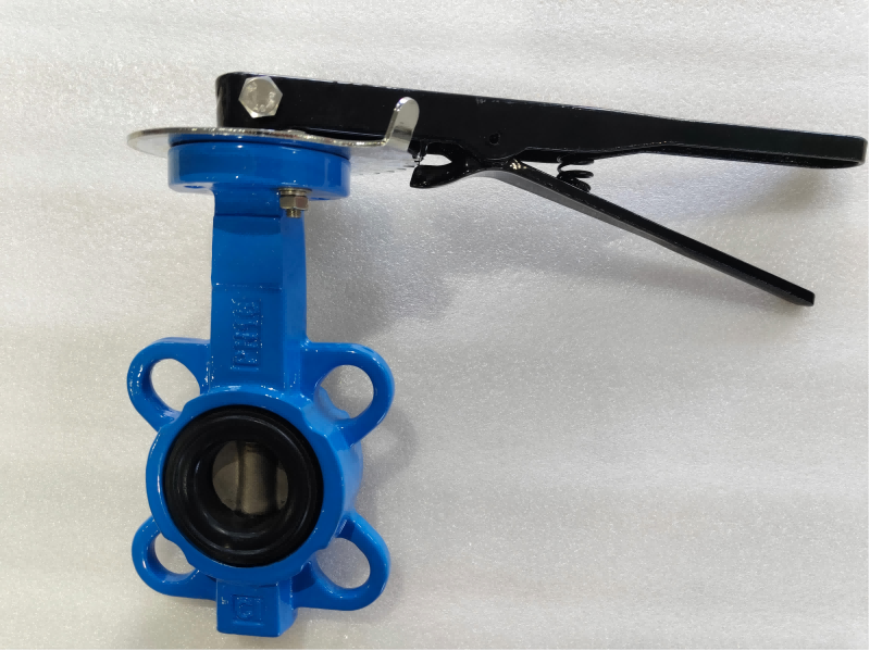 Cast Iron Body Butterfly Valve