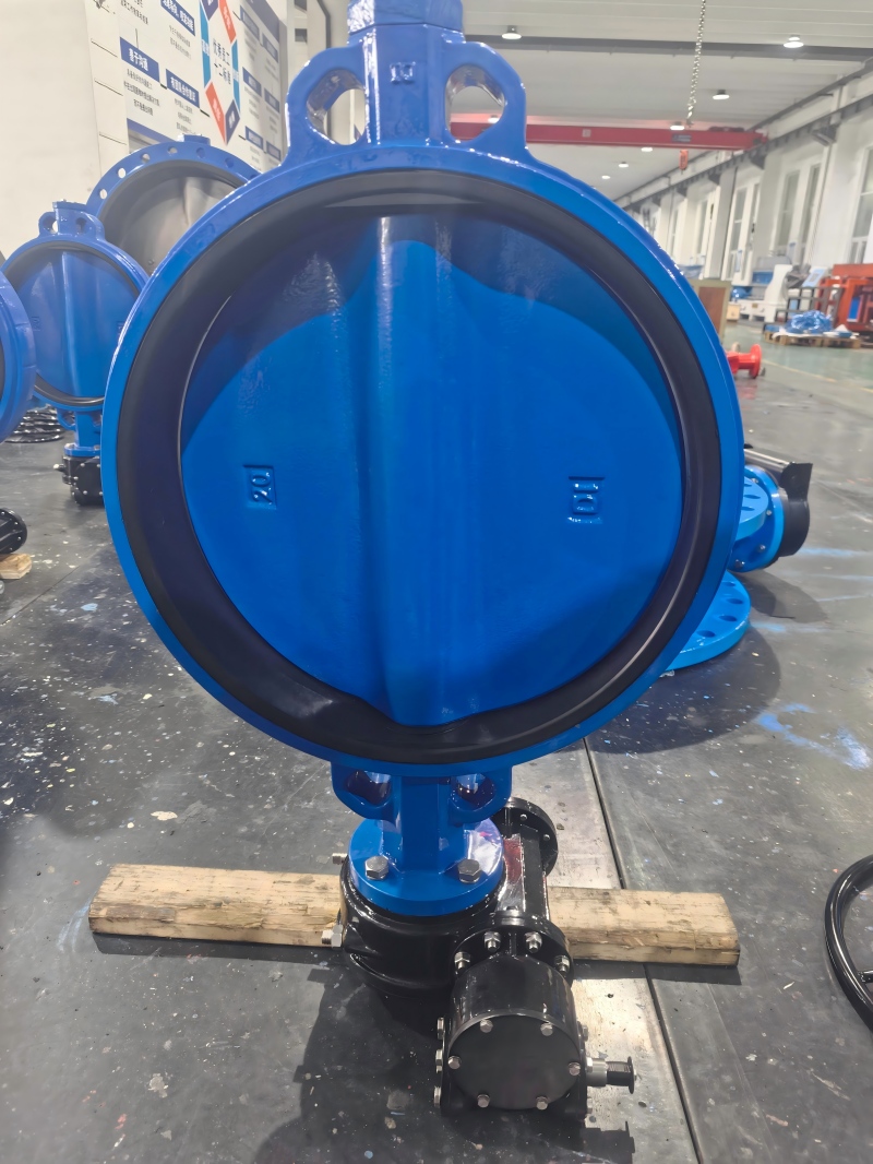 Ductile Iron Body Butterfly Valve