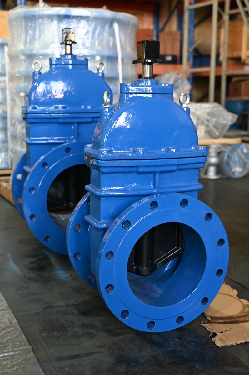 NRS Gate Valve With Square Operation