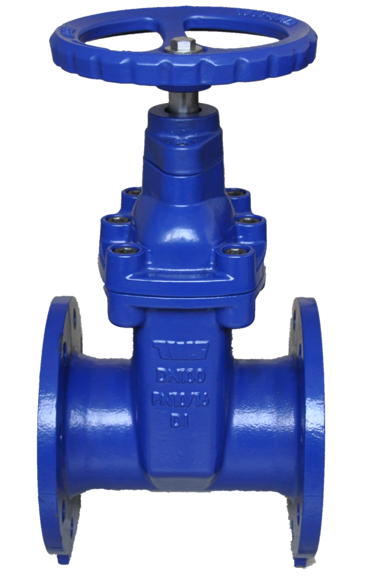 NRS Rooj vag Valve