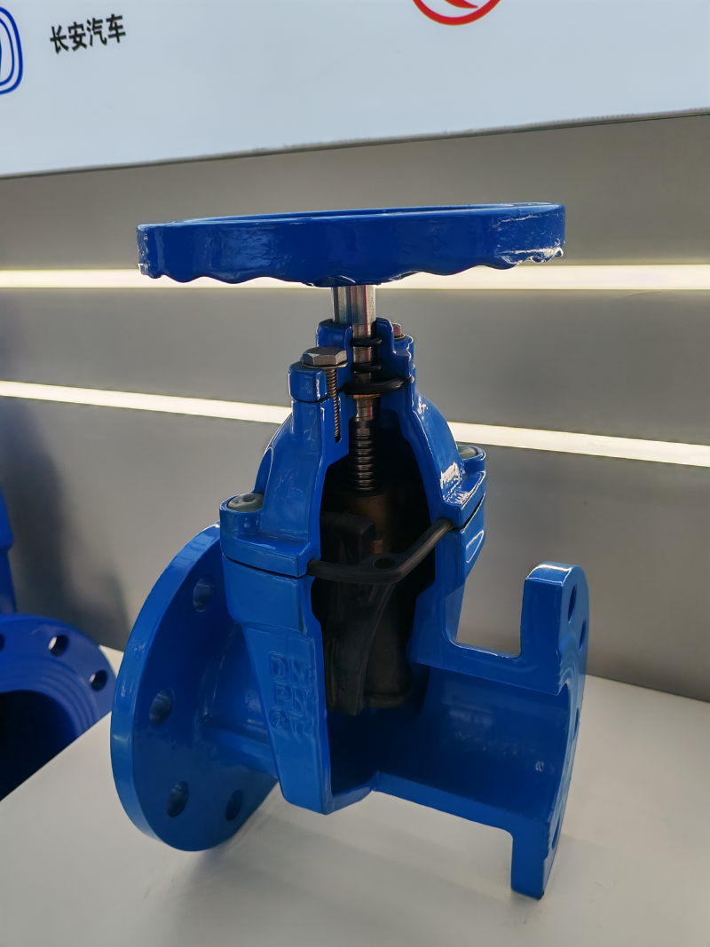 Soft seal gate valve