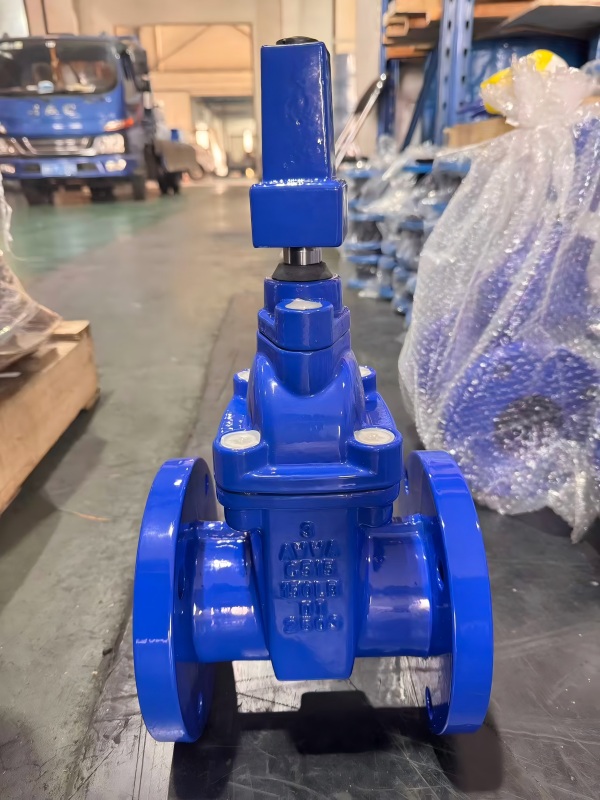 Square Shaft NRS Gate Valve