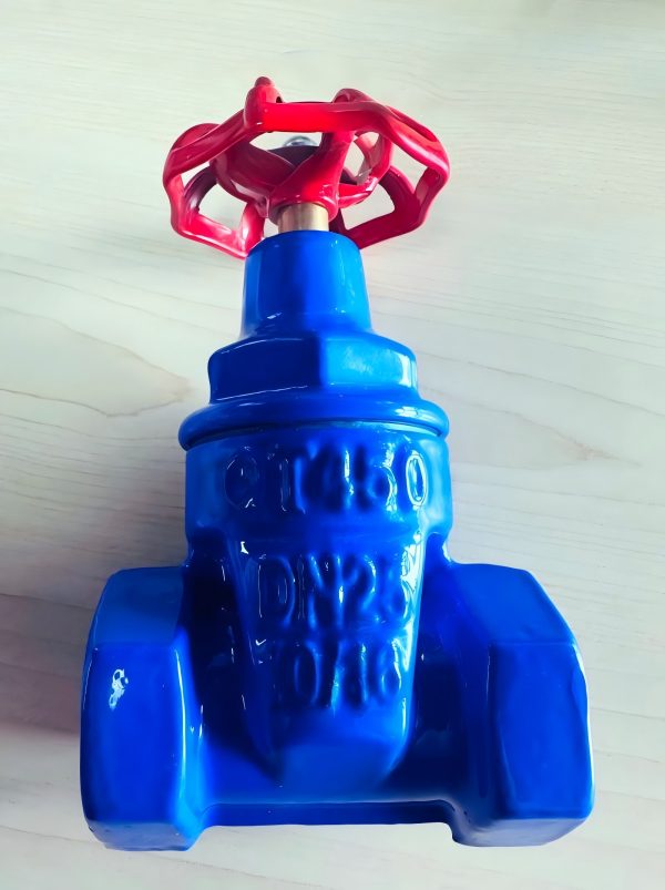 gate valve