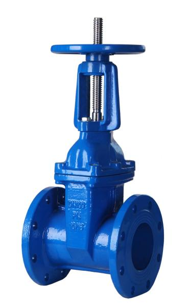 rising stem gate valve