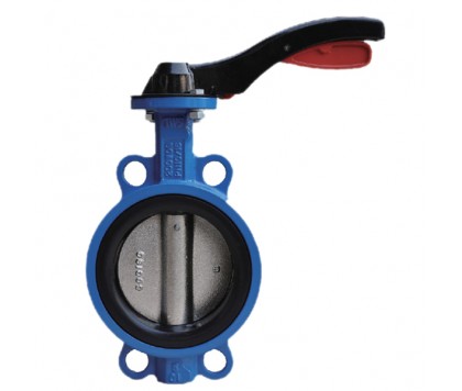 Сексуалды қыздар ауызша