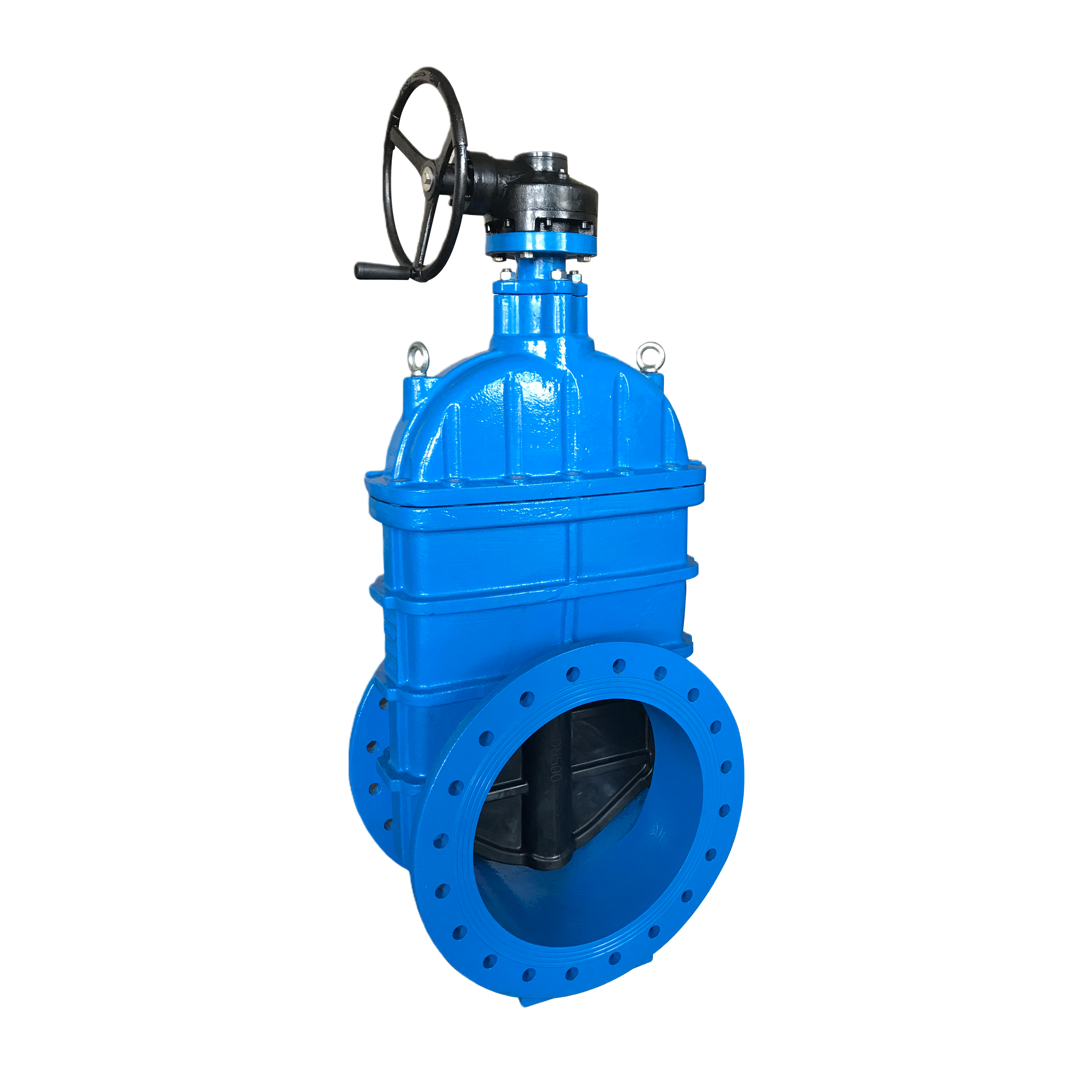 橡胶闸阀 透明背景